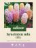Welkoop Hyacinten mix Lilly - Bloembollen - Multi - 8 stuks