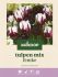 Welkoop Tulpen mix Femke - Bloembollen - Multi - 20 stuks