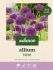 Welkoop Allium Vere - Bloembollen - Multi - 20 stuks