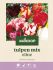 Welkoop Tulpen mix Eline - Bloembollen - Multi - 15 stuks