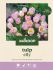 Welkoop Tulp Elly - Bloembollen - Multi - 30 stuks
