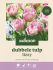 Welkoop Dubbele Tulp Lizzy - Bloembollen - Multi - 20 stuks