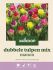 Welkoop Dubbele Tulpen mix Manon - Bloembollen - Multi - 15 stuks