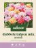 Welkoop Dubbele Tulpen mix Anouk - Bloembollen - Multi - 15 stuks