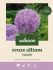 Welkoop Reuze Allium Rosie - Bloembollen - Paars - 3 stuks