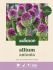 Welkoop Allium Antonia - Bloembollen - Multi - 100 stuks