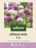 Welkoop Allium Lou - Bloembollen - Multi - 3 stuks
