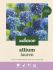 Welkoop Allium Lauren - Bloembollen - Multi - 25 stuks