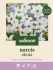 Welkoop Narcis Elena - Bloembollen - Multi - 20 stuks