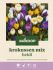 Welkoop Krokus Heidi - Bloembollen - Multi - 75 stuks