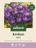 Welkoop Krokus Evi - Bloembollen - Multi - 30 stuks