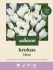Welkoop Krokus Line - Bloembollen - Multi - 30 stuks