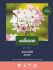 Welkoop Select Allium Saar - Bloembollen - Multi - 20 stuks