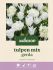 Welkoop Tulp Gerda - Bloembollen - Multi - 20 stuks
