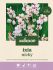 Welkoop Ixia Nicky - Bloembollen - Multi - 50 stuks