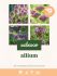 Welkoop Allium Biodiversiteit - Bloembollen - Gemengd - 40 stuks