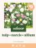 Welkoop Tulp Narcis Allium Biodiversiteit - Bloembollen - Gemengd - 30 stuks