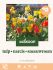 Welkoop Tulp Narcis Sneeuwroem - Biodiversiteit - Bloembollen - Multi - 50 stuks