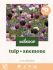 Welkoop Tulp Anemone Biodiversiteit - Bloembollen - Paars/Wit - 50 stuks