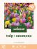 Welkoop Tulp Anemone - Biodiversiteit - Bloembollen - Multi - 50 stuks