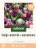 Welkoop Tulp Narics Anemone - Biodiversiteit - Bloembollen - Multi - 50 stuks