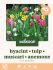 Welkoop Hyacint Tulp Narcis Blauwe druifjes - Biodiversiteit - Bloembollen - Multi - 50 stuks