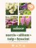 Welkoop Narcis Allium Tulp Hyacint - Biodiversiteit - Bloembollen - Multi - 33 stuks