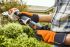 STIHL HSA 26 - Accu gras- en buxusschaar set - 20 cm