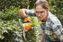 STIHL HSA 26 - Accu gras- en buxusschaar set - 20 cm