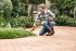 STIHL HSA 26 - Accu gras- en buxusschaar set - 20 cm