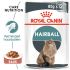 Royal Canin Hairball Care Pouch - Kattenvoer - 0,012 kg