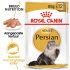 Royal Canin Persian Adult Pouch - Kattenvoer - 0,012 kg