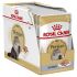 Royal Canin Persian Adult Pouch - Kattenvoer - 0,012 kg