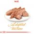 Royal Canin Persian Adult Pouch - Kattenvoer - 0,012 kg
