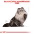 Royal Canin Persian Adult Pouch - Kattenvoer - 0,012 kg