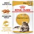 Royal Canin Maine Coon Adult Pouch - Kattenvoer - 0,012 kg