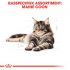 Royal Canin Maine Coon Adult Pouch - Kattenvoer - 0,012 kg