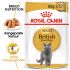 Royal Canin British Shorthair Adult Pouch - Kattenvoer - 0,012 kg