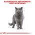 Royal Canin British Shorthair Adult Pouch - Kattenvoer - 0,012 kg