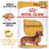 Royal Canin Dachshund Adult Pouch - Hondenvoer - 0,012 kg