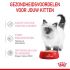 Royal Canin Kitten Loaf - Kattenvoer - 