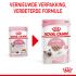 Royal Canin Kitten Loaf - Kattenvoer - 