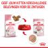 Royal Canin Kitten Loaf - Kattenvoer - 