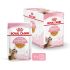 Royal Canin Sterilised Jelly - Kattenvoer - 