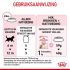 Royal Canin Sterilised Jelly - Kattenvoer - 
