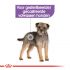 Royal Canin Sterilised Wet - Hondenvoer - 0,012 kg