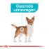 Royal Canin Urinary Care Wet - Hondenvoer - 0,012 kg