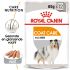 Royal Canin Coat Care Wet - Hondenvoer - 0,012 kg