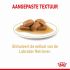 ROYAL CANIN® Adult Labrador Retriever Natvoer 10x 140gr - Hondenvoer - 0,01 kg