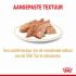 ROYAL CANIN® Adult Shih Tzu  Natvoer 12x85gr - Hondenvoer - 0,012 kg